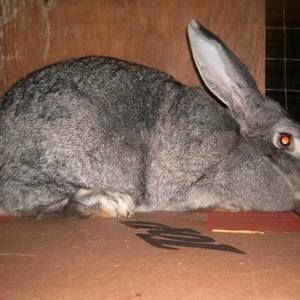 Meet your Posher, Jim